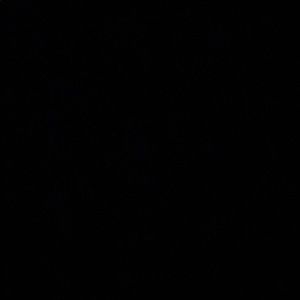 Meet your Posher, Maya